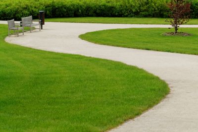 Products For Concrete Sidewalk Repairs in use